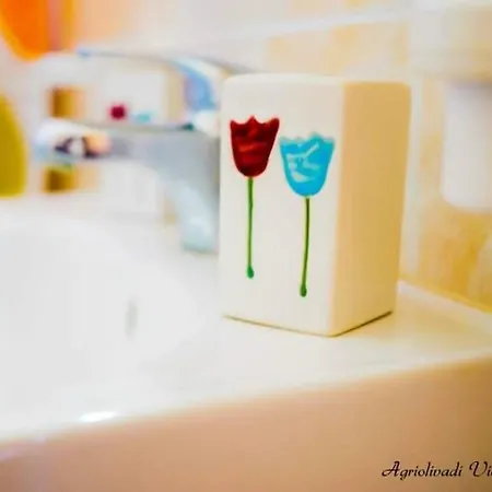 Agriolivadi View House בית נופש