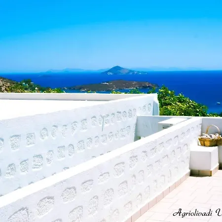 Agriolivadi View House בית נופש Kámbos