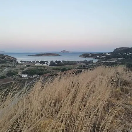 Agriolivadi View House *