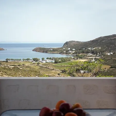 Agriolivadi View House *