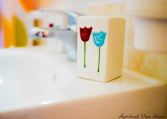 Agriolivadi View House Tatil Evi