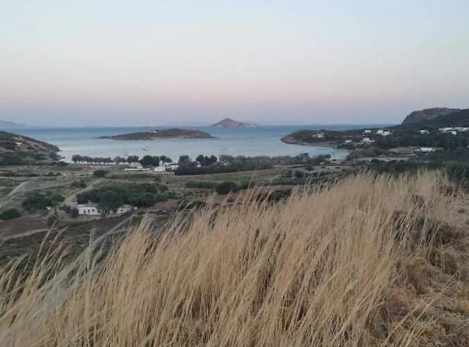 Agriolivadi View House *