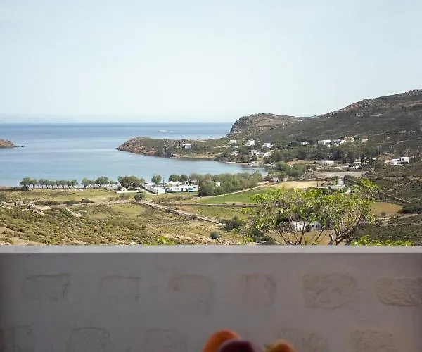 Agriolivadi View House *